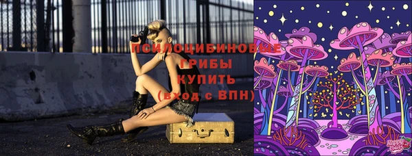 apvp Зеленодольск