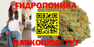 дурь Лесосибирск