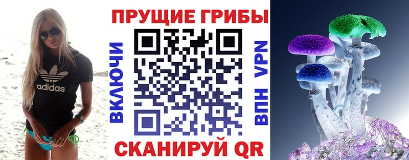 Галлюциногенные грибы ЛСД  где можно купить   Зеленодольск 