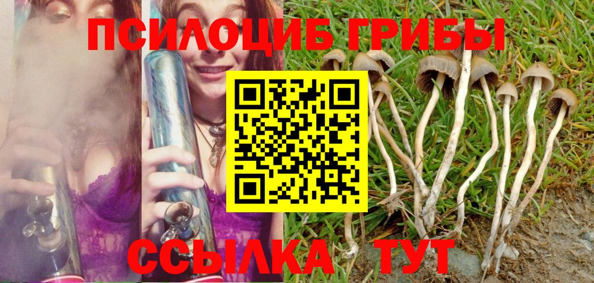 Зеленодольск  купить наркотик  Вход с VPN  Псилоцибиновые грибы MAGIC MUSHROOMS 