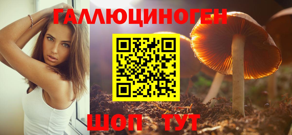 Псилоцибиновые грибы ЛСД Зеленодольск